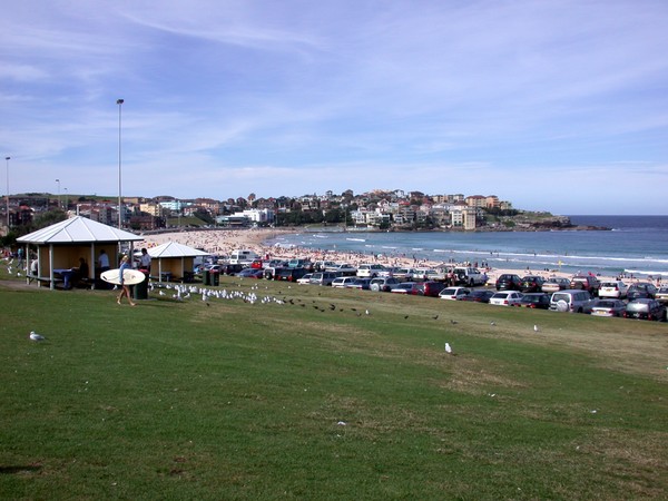 Bondi Beach